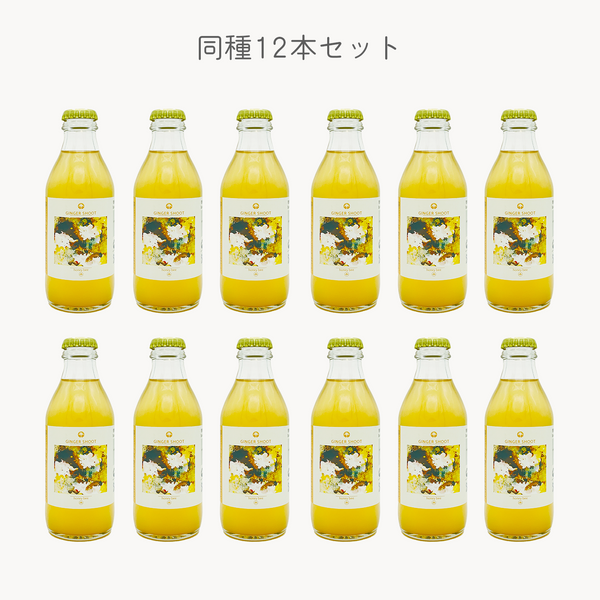 【送料無料】同種12本セット 発酵ジンジャーエール (sweet butterfly / honey bee / piña araña / tonic tea snail / ginger coco porterより1種×12本)