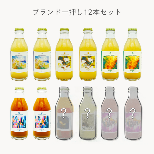 【送料無料】ブランド一押し12本セット 発酵ジンジャーエール (sweet butterfly + honey bee + piña araña + tonic tea snail ×2本ずつ、 お任せ2～4種)