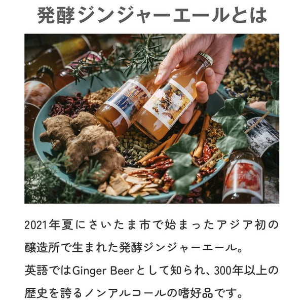 【送料無料】バイヤーおすすめ６本セット 発酵ジンジャーエール ギフトボックス（ginger coco porter2本＋tonic tea snail2本 + お任せ2種)