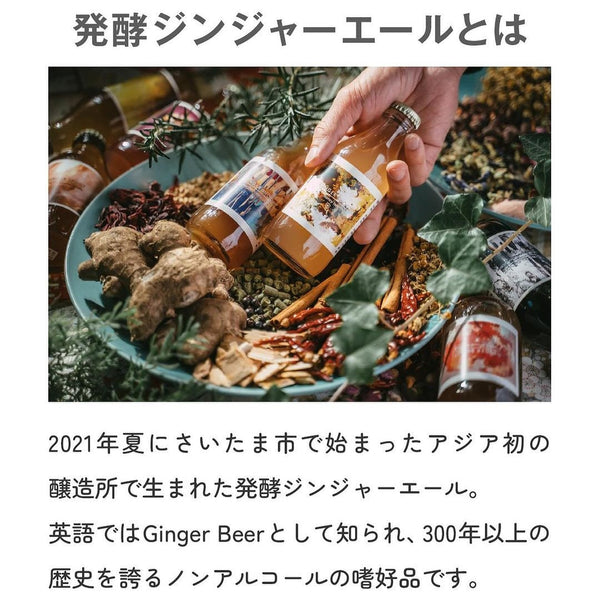 【送料無料】ブランド一押し６本セット 発酵ジンジャーエール ギフトボックス (sweet butterfly + pinaa arana + tonic tea snail + お任せ2~3種)