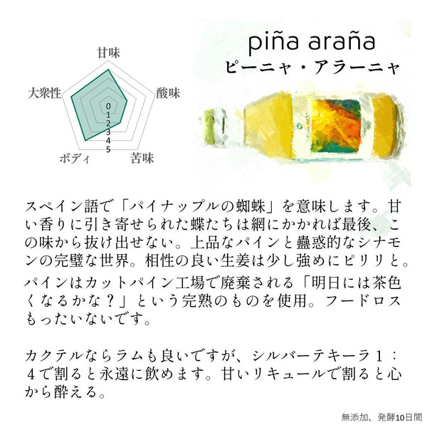 【送料無料】同種12本セット 発酵ジンジャーエール (sweet butterfly / honey bee / piña araña / tonic tea snail / ginger coco porterより1種×12本)