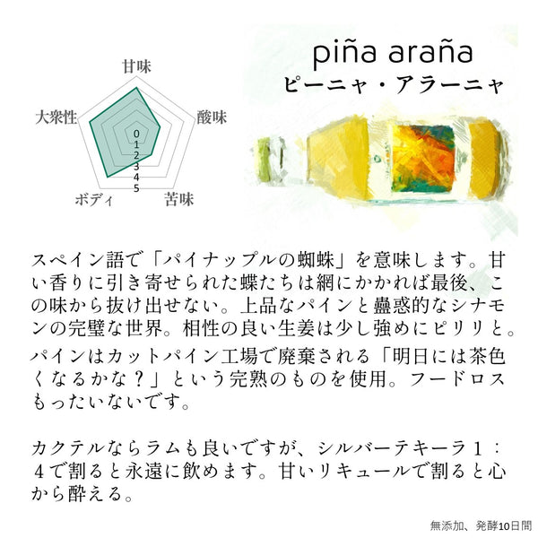 【送料無料】ブランド一押し12本セット 発酵ジンジャーエール (sweet butterfly + honey bee + piña araña + tonic tea snail ×2本ずつ、 お任せ2～4種)