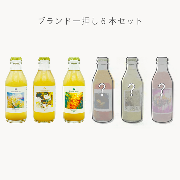 【送料無料】ブランド一押し６本セット 発酵ジンジャーエール ギフトボックス (sweet butterfly + pinaa arana + tonic tea snail + お任せ2~3種)